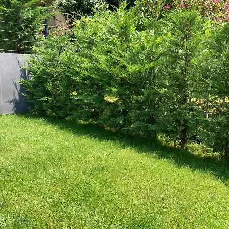 V With Pool And Free Parking Hotel apartamentowy