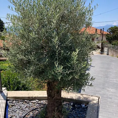 Apart-hotel V With Pool And Free Parking 4*