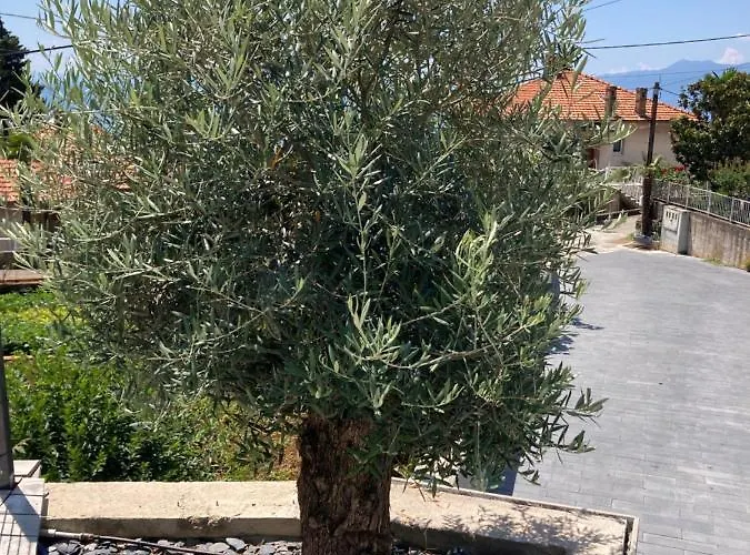 Hotel apartamentowy V With Pool And Free Parking 4*